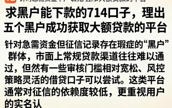 求黑户能下款的714口子，理出五个黑户成功获取大额贷款的平台