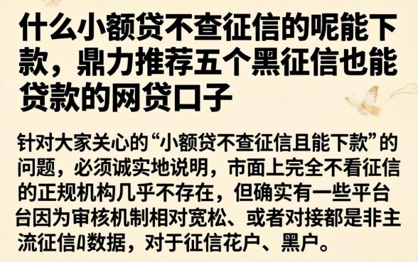 什么小额贷不查征信的呢能下款，鼎力推荐五个黑征信也能贷款的网贷口子