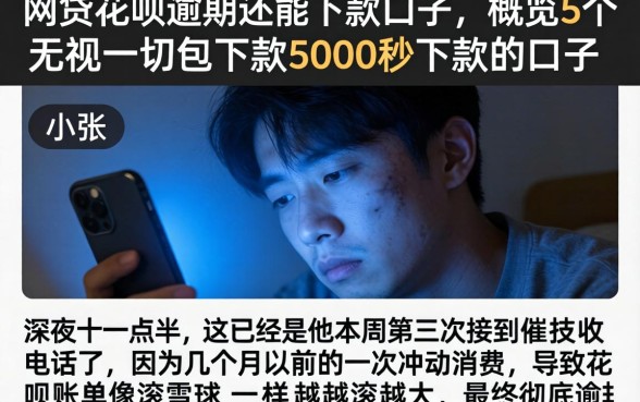 网贷花呗逾期还能下款的口子,概览5个无视一切包下款5000秒下款的口子