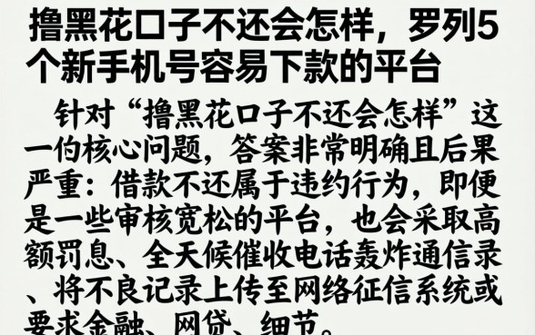 撸黑花口子不还会怎样，罗列5个新手机号容易下款的平台