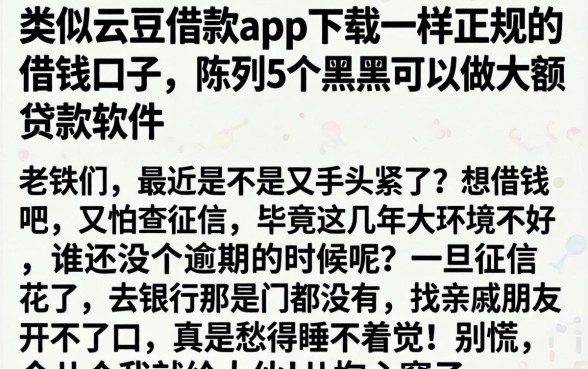 类似芸豆借款app下载一样正规的借钱口子，陈列5个黑户可以做大额贷款软件