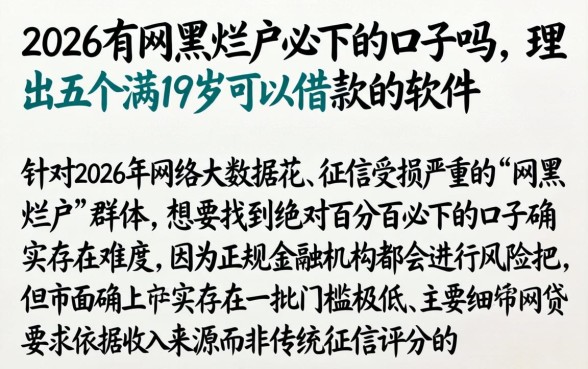 2026有网黑烂户必下的口子吗，理出五个满19岁可以借款的软件