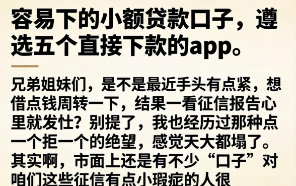 容易下的小额贷款口子,遴选五个直接下款的app