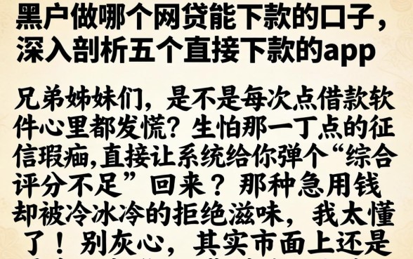 黑户做哪个网贷能下款的口子，深入剖析五个直接下款的app