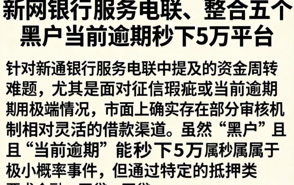 新网银行 服务电联，整合五个黑户当前逾期秒下5万平台