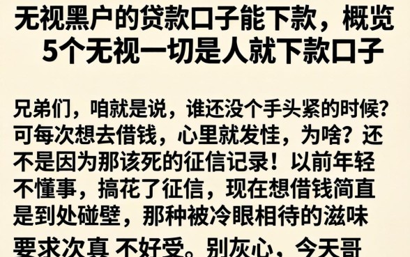 无视黑户的贷款口子能下款，概览5个无视一切是人就下款口子