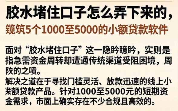 胶水堵住口子怎么弄下来的，规整5个1000至5000的小额贷款软件