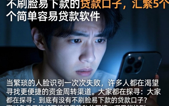 不刷脸易下款的的贷款口子，汇整5个简单容易贷款软件