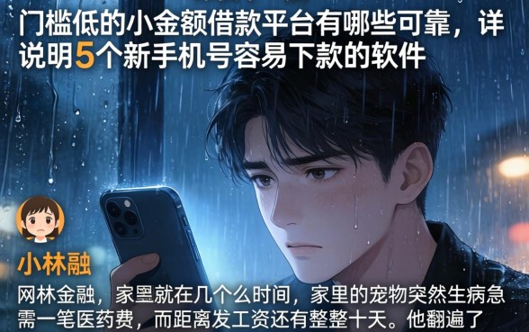 门槛低的小额借款平台有哪些可靠，详尽说明5个新手机号容易下款的软件