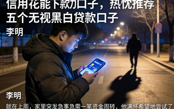 信用花能下款的口子，热忱推荐五个无视黑白贷款口子