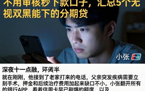 不用审核秒下款的口子，汇总5个无视双黑能下的分期贷