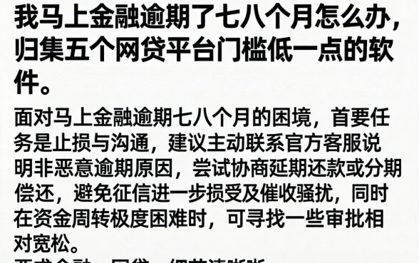 我马上金融逾期了七八个月怎么办,归集五个网贷平台门槛低一点的软件