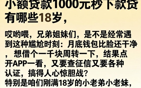 小额贷款1000元秒下款有哪些18岁，概括5个值得信赖的借贷平台
