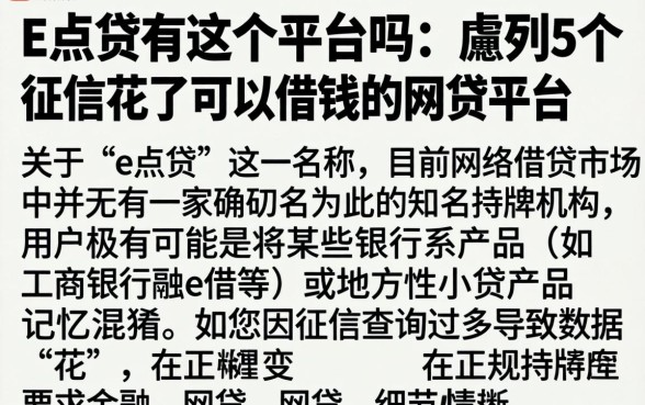 e点贷有这个平台吗，胪列5个征信花了可以借钱的网贷平台