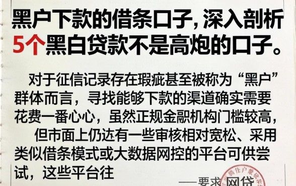 黑户下款的借条口子，深入剖析5个黑白贷款不是高炮的口子