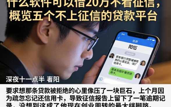 什么软件可以借20万不看征信，概览五个不上征信的贷款平台