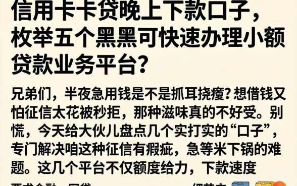 信用卡卡贷晚上下款的口子，枚举五个黑户可快速办理小额贷款业务的平台