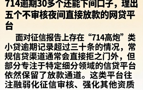 714逾期30多个还能下的口子，理出五个不审核夜间直接放款的网贷平台