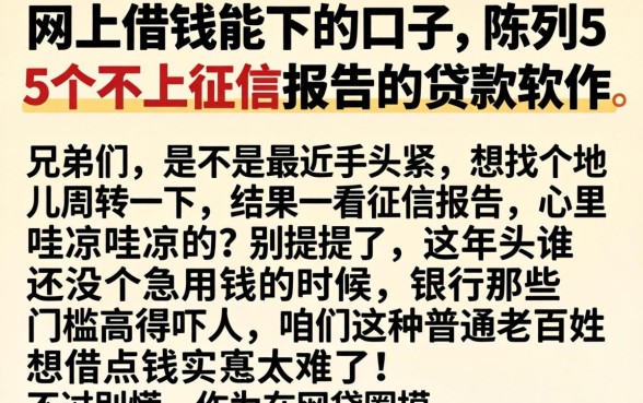 网上借钱能下的口子，陈列5个不上征信报告的贷款软件