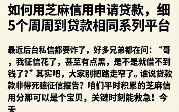 如何用芝麻信用申请贷款，细致阐述5个周周到贷款相同系列的平台