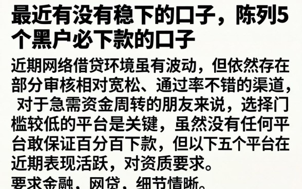 最近有没有稳下的口子，陈列5个黑户必下款的口子