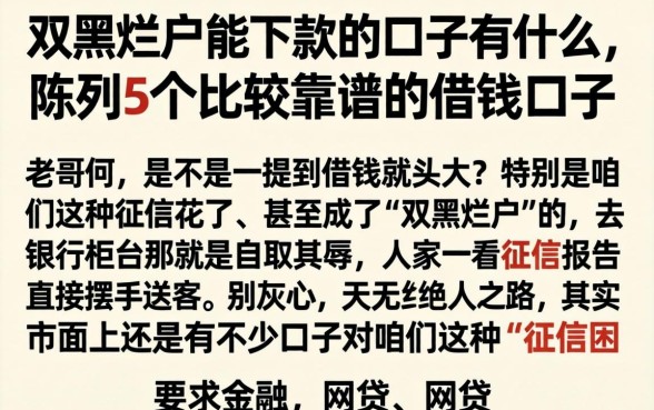 双黑烂户能下款的口子有什么，陈列5个比较靠谱的借钱口子