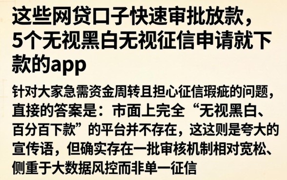 这些网贷口子快速审批放款,概括5个无视黑白无视征信申请就下款的app