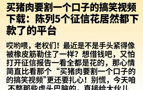 买猪肉要割一个口子的搞笑视频下载，陈列5个征信花居然都下款了的平台