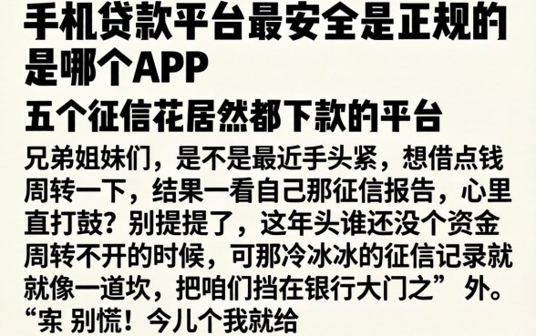 手机贷款平台最安全最正规的是哪个APP，细致阐述五个征信花居然都下款的平台