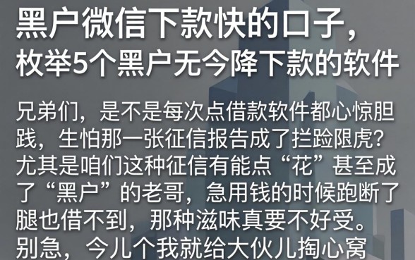 黑户微信下款快的口子，枚举5个黑户无条件下款的软件