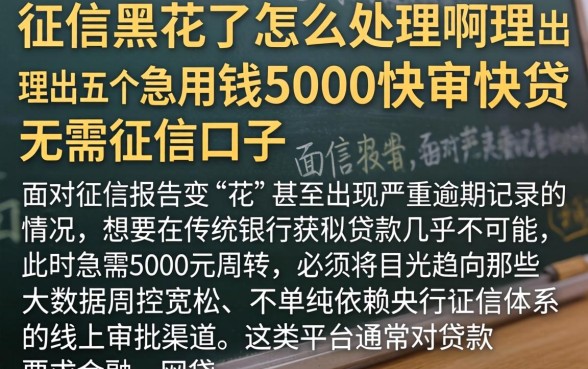 征信黑花了怎么处理啊，理出五个急用钱5000快审快贷无需征信口子