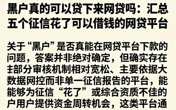 黑户真的可以贷下来网贷吗，汇总五个征信花了可以借钱的网贷平台