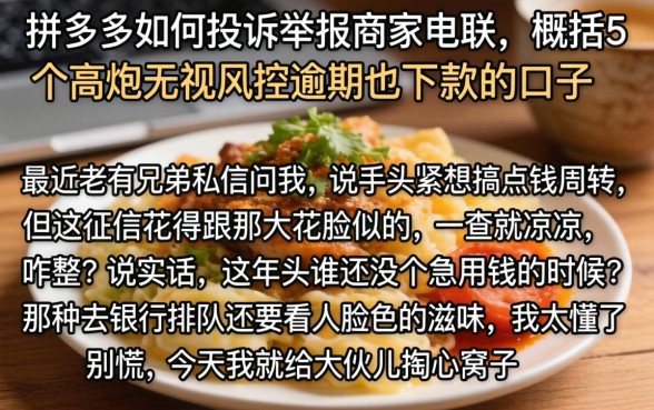 拼多多如何投诉举报商家电联，概括5个高炮无视风控逾期也下款的口子