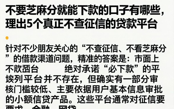 不要芝麻分就能下款的口子有哪些,理出5个真正不查征信的贷款平台