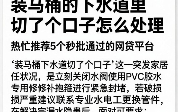 装马桶的下水道里切了个口子怎么处理，热忱推荐5个秒批通过的网贷平台