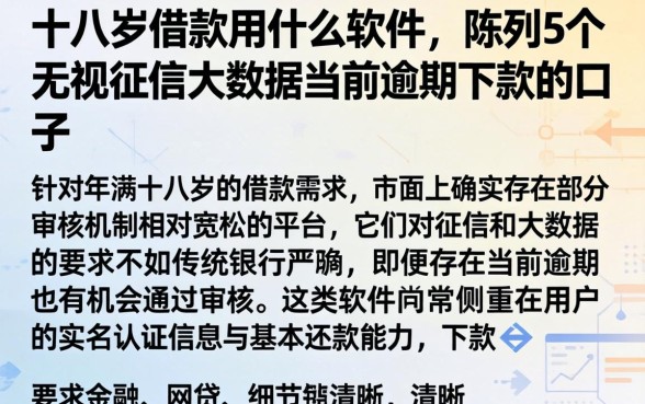 十八岁借款用什么软件，陈列5个无视征信大数据当前逾期下款的口子
