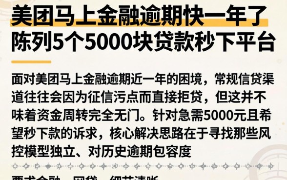 美团马上金融逾期快一年了，陈列5个5000块贷款秒下平台