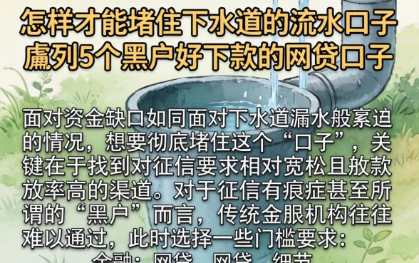 怎样才能堵住下水道的流水口子，胪列5个黑户好下款的网贷口子