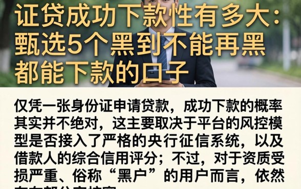 一证贷成功下款的性有多大，甄选5个黑到不能再黑都能下款的口子