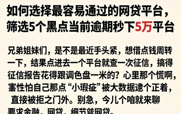如何选择最容易通过的网贷平台,筛选5个黑户当前逾期秒下5万平台
