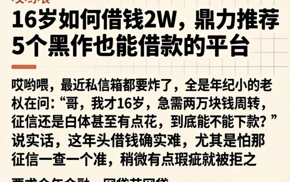 16岁如何借钱2w，鼎力推荐5个黑户也能借款的平台