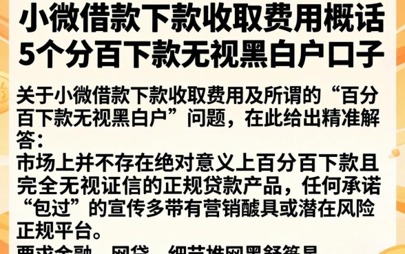 小微借款下款收取费用，概括5个百分百下款无视黑白户口子