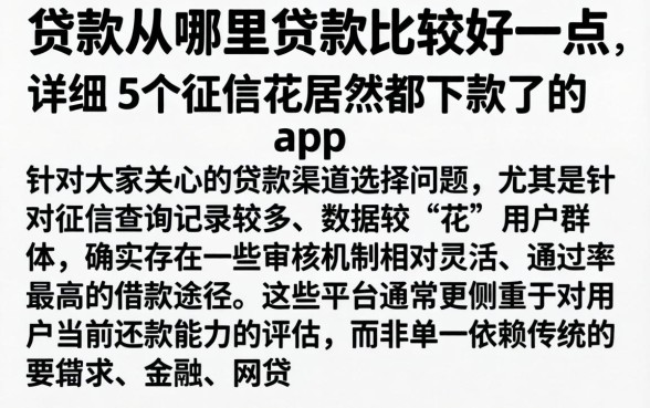 贷款从哪里贷款比较好一点，详尽说明5个征信花居然都下款了的app