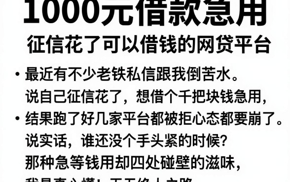 1000元借款急用，归纳五个征信花了可以借钱的网贷平台