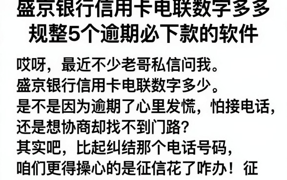 盛京银行信用卡电联数字多少，规整5个逾期必下款的软件
