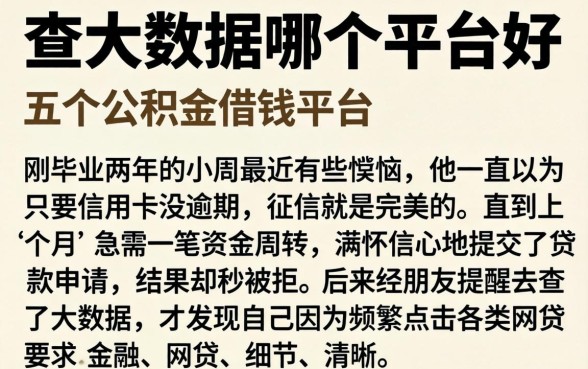 查大数据哪个平台好，细致阐述五个公积金借钱平台