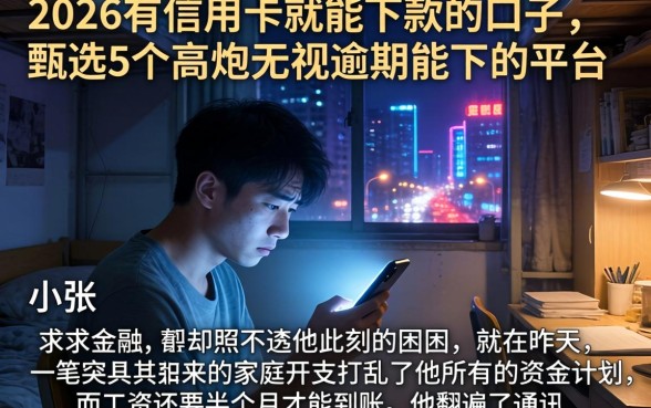 2026有信用卡就能下款的口子，甄选5个高炮无视逾期能下的平台