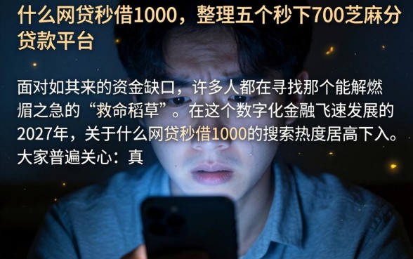 什么网贷秒借1000,整理五个秒下700芝麻分贷款平台
