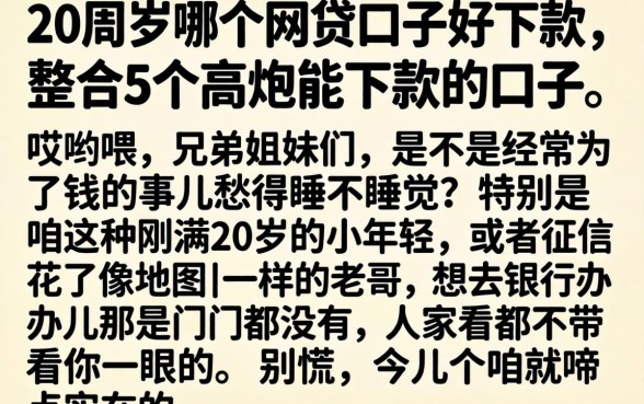 20周岁哪个网贷口子好下款，整合5个高炮能下款的口子