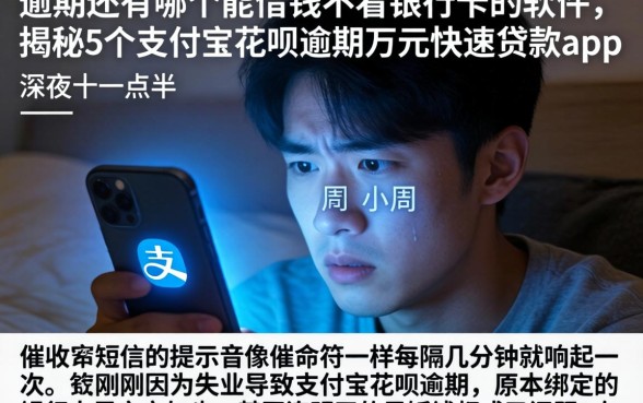 逾期还有哪个能借钱不看银行卡的软件，揭秘5个支付宝花呗逾期万元快速贷款app